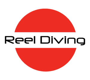 Reeldiving