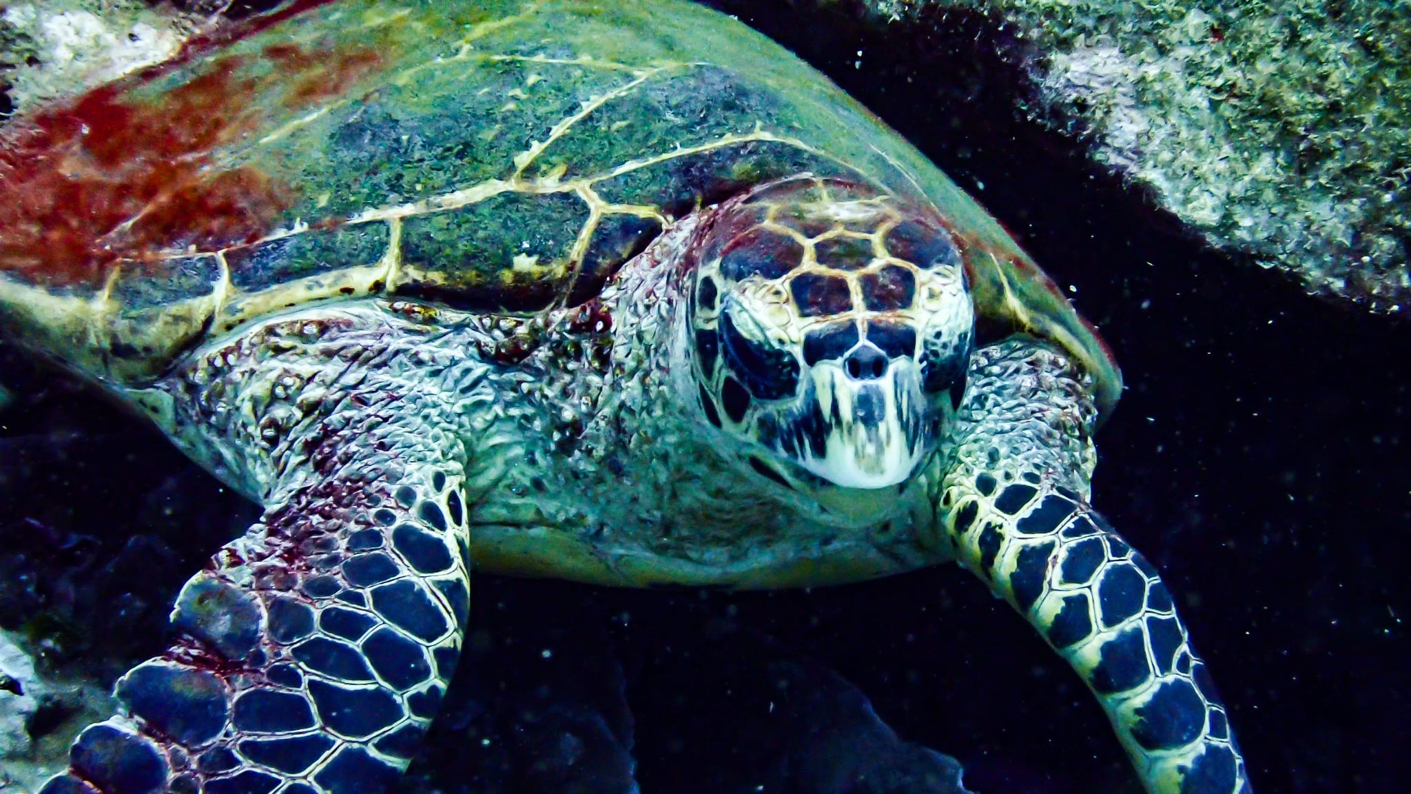 460e671e 9fc1 4490 a109 bbdf50848a47