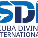 SDI