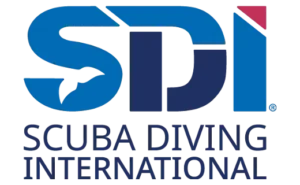 SDI