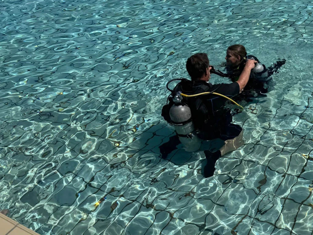 Ausbildung pool 2