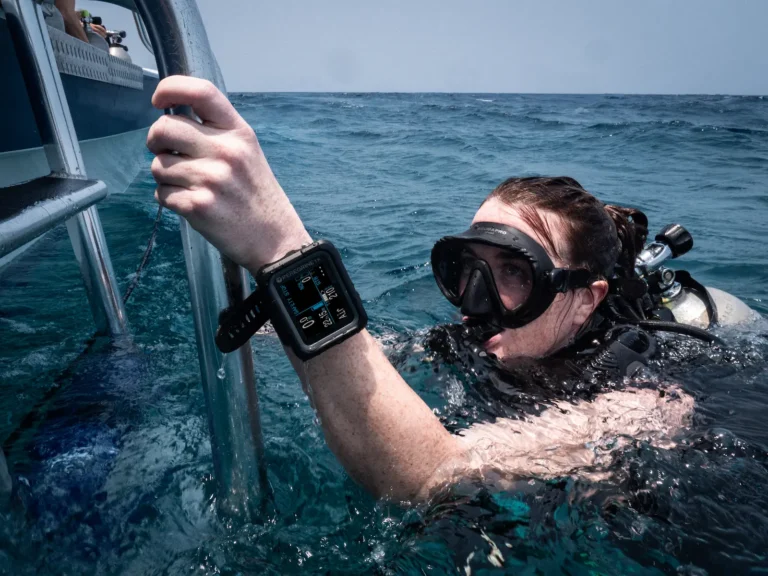 Peregrine TX Dive Girl edited